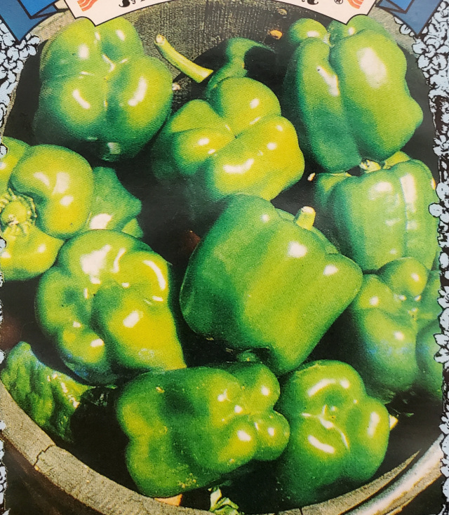 buying bell pepper seedlings in bulk in california